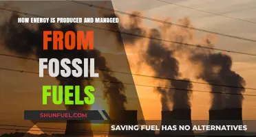 Fossil Fuels: Energy Production, Management, and Global Impact Explained