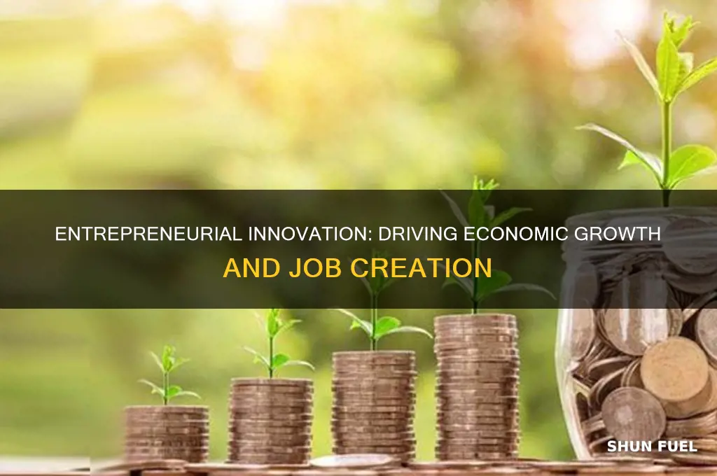 how entrepreneurs fuel economic growth