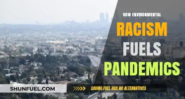 Environmental Racism's Role in Amplifying Global Pandemic Risks