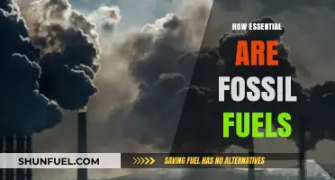 Fossil Fuels: Essential Energy Source or Environmental Liability?