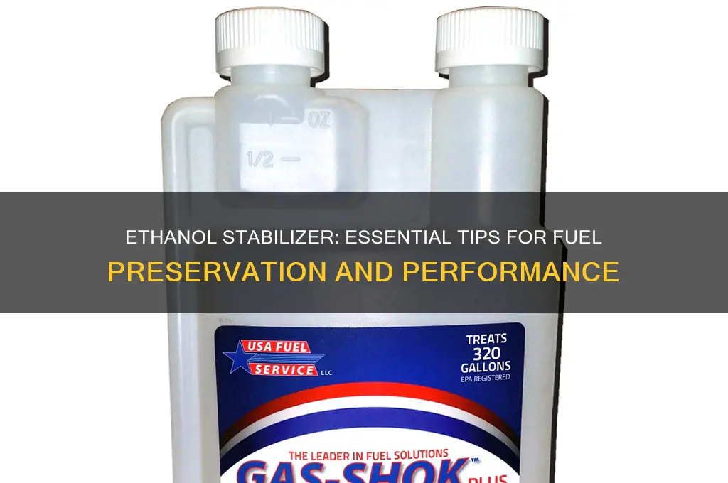 how ethanol stabilizer to use in fuel