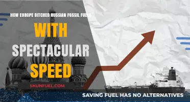 Europe's Rapid Shift: Ditching Russian Fossil Fuels in Record Time