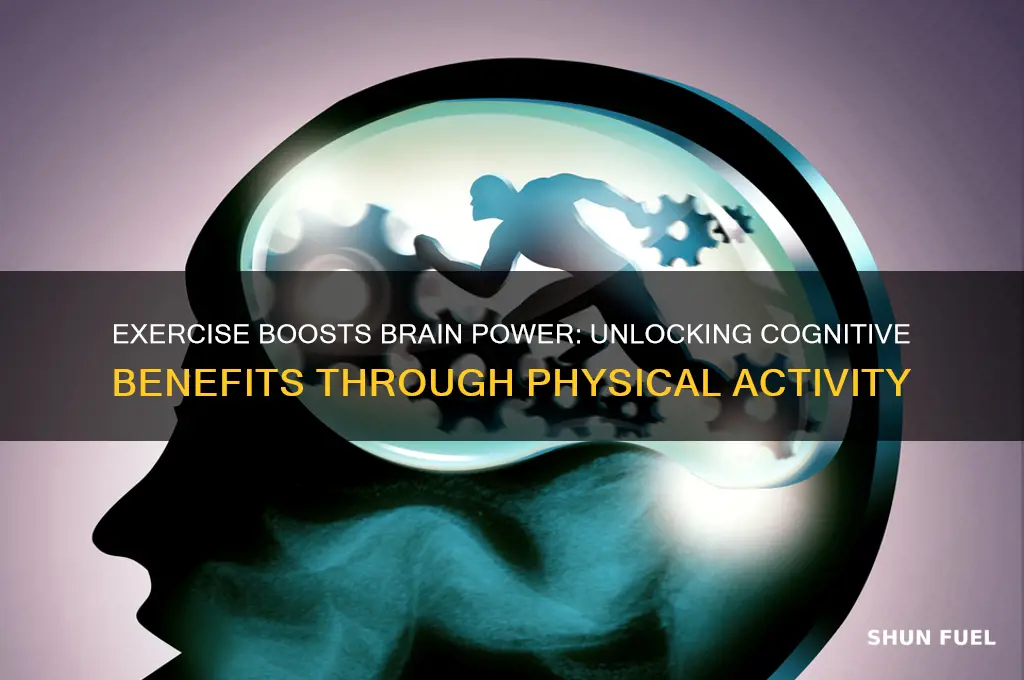 how exercise fuels the brain