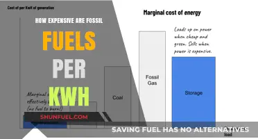 Fossil Fuels' Hidden Costs: Unveiling the True Price per kWh