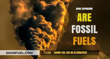 The Hidden Costs of Fossil Fuels: Are They Worth It?