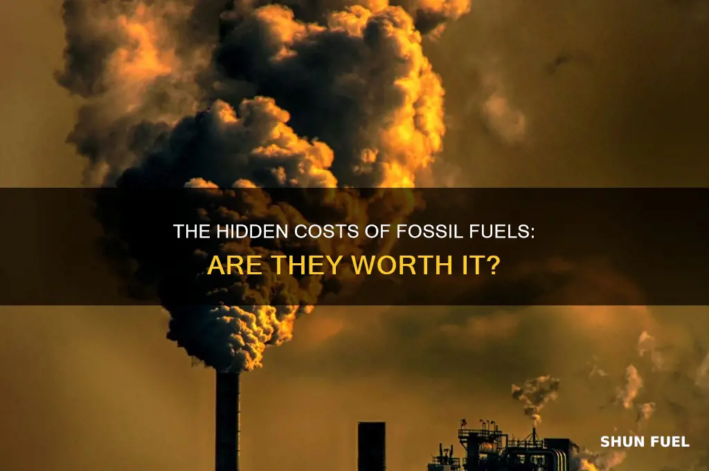 how expensive are fossil fuels