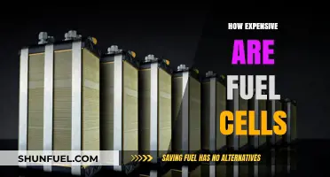 Fuel Cells: Cost Analysis and Economic Viability Explored