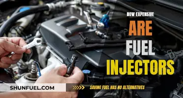 Fuel Injectors: Costly Maintenance or Easy Fix?