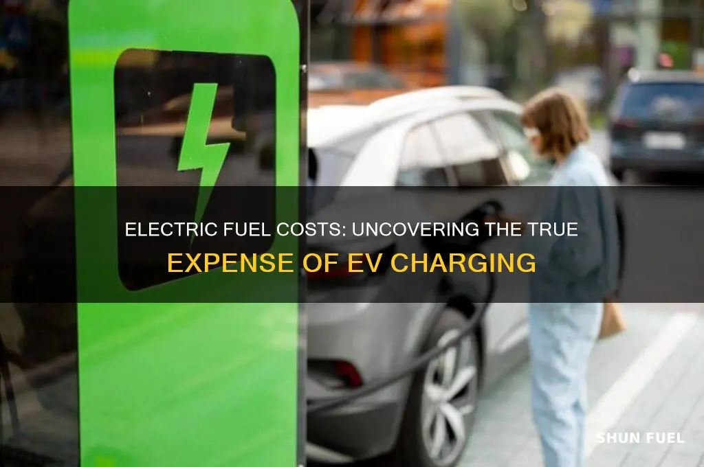 how expensive is electric fuel