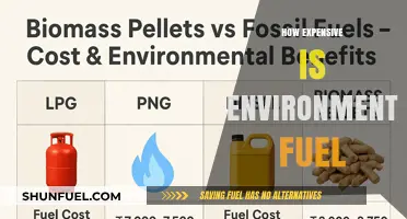 Environmental Fuel Costs: Analyzing the Expense of Sustainable Energy Solutions