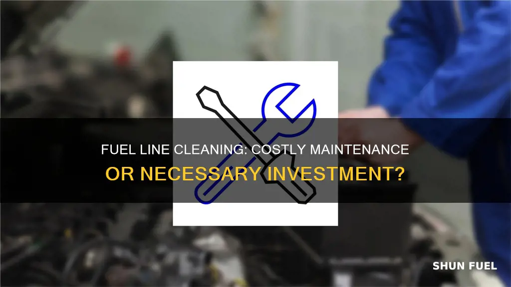 how expensive is it to clean fuel lines