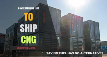 Decoding the Costs: A Comprehensive Guide to Shipping CNG