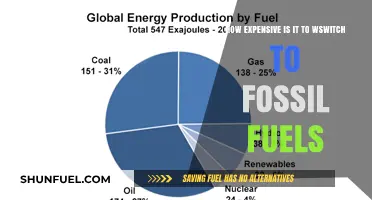 The True Cost of Transitioning to Fossil Fuels: Is It Worth It?