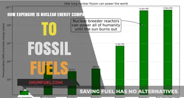 Nuclear vs. Fossil Fuels: Cost Comparison and Energy Economics