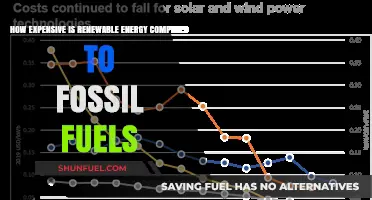 Renewable Energy vs. Fossil Fuels: Cost Comparison and Long-Term Savings
