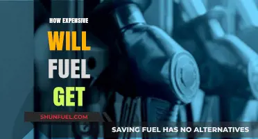 Skyrocketing Fuel Prices: Predicting the Future Cost of Energy
