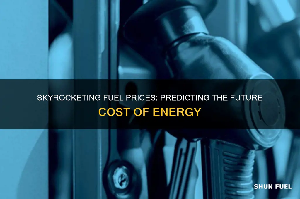 how expensive will fuel get