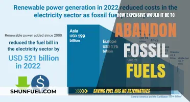 The Cost of Transition: Abandoning Fossil Fuels for a Sustainable Future
