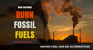 Factories' Fossil Fuel Dependence: Environmental Impact and Burning Processes