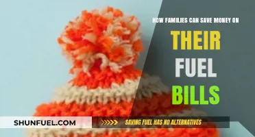 Smart Strategies for Families to Slash Fuel Bills and Save