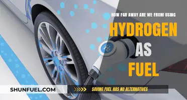 Hydrogen Fuel: How Close Are We to a Clean Energy Future?