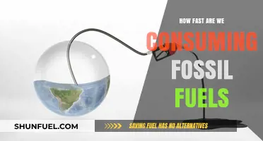 Accelerating Depletion: The Alarming Pace of Fossil Fuel Consumption