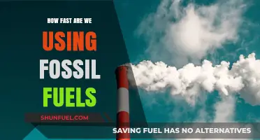 Accelerating Depletion: How Quickly Are We Consuming Fossil Fuels?