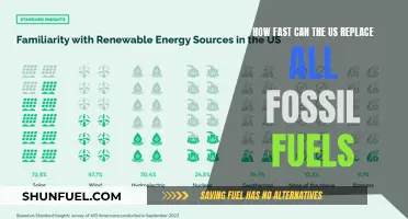 The US Fossil Fuel Phase-Out: How Quickly Can It Happen?