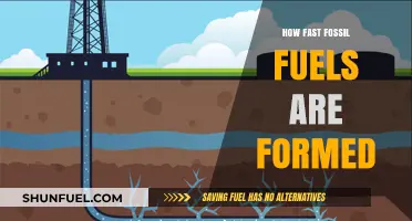 The Surprising Speed of Fossil Fuel Formation: Unveiling the Process