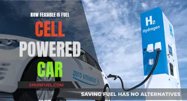 Fuel Cell Cars: Powering the Future?