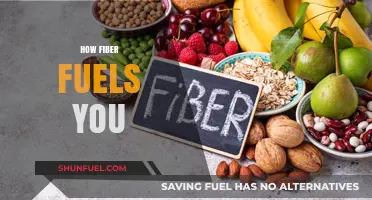 Fuel Your Body: How Fiber Boosts Energy and Health
