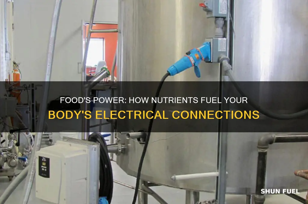 how food fuel electrical connections