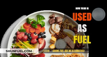 Fuel Your Body: Understanding How Food Powers Your Daily Energy