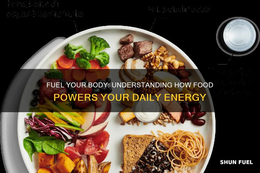 how food is used as fuel