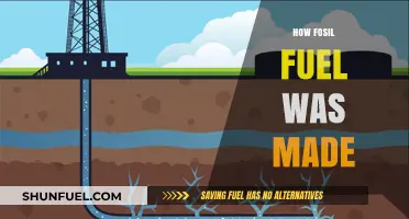 The Ancient Origins and Formation of Fossil Fuels Explained