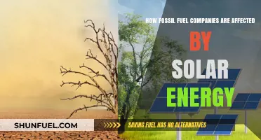 Solar Energy's Rise: Impact on Fossil Fuel Companies' Future