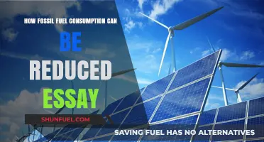 Reducing Fossil Fuel Consumption: Sustainable Strategies for a Greener Future