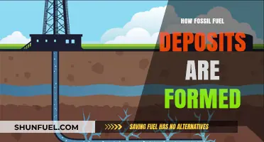 Unveiling the Ancient Origins of Fossil Fuel Deposits Formation