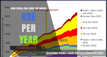 Global Fossil Fuel Consumption: Annual Usage and Environmental Impact
