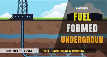 Unveiling the Ancient Process: How Fossil Fuels Formed Underground