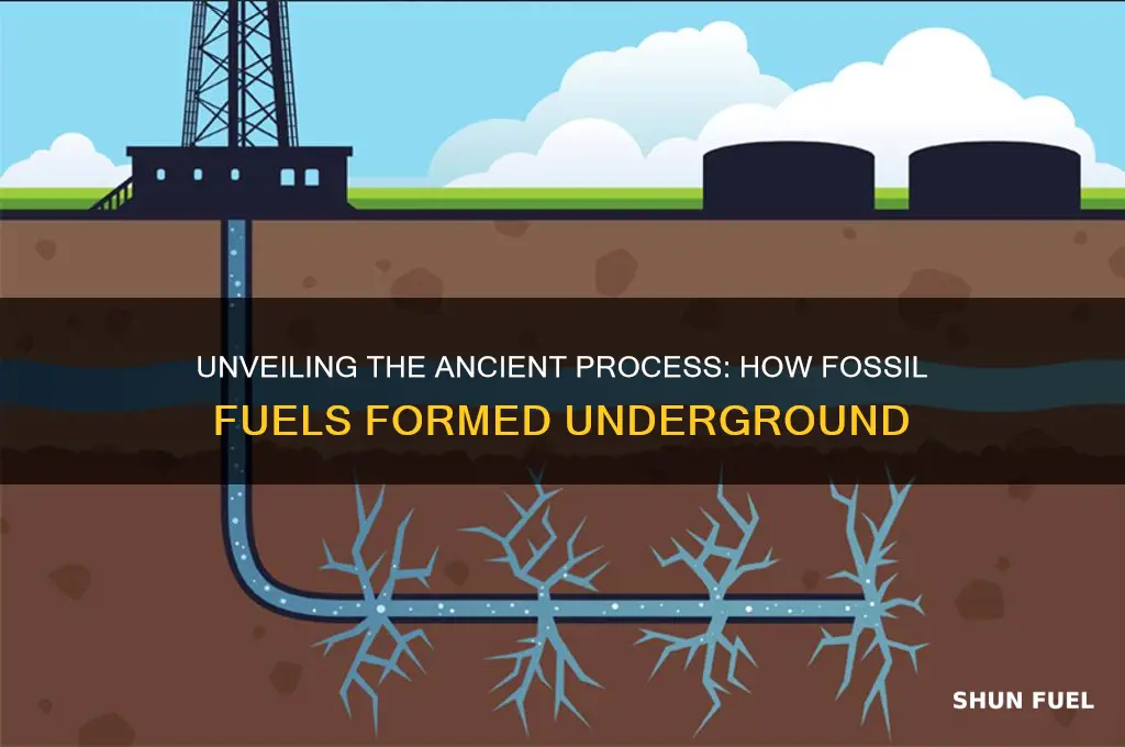 how fossil fuel formed underground