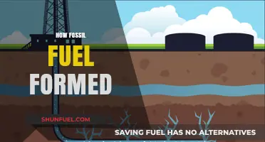The Ancient Origins of Fossil Fuels: A Journey Through Time