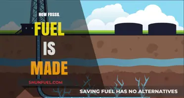From Ancient Organisms to Energy: The Formation of Fossil Fuels Explained