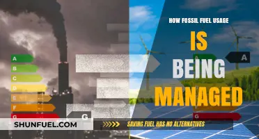 Managing Fossil Fuel Usage: Strategies for a Sustainable Energy Transition