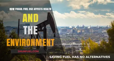 Fossil Fuels' Impact: Health, Environment, and a Sustainable Future