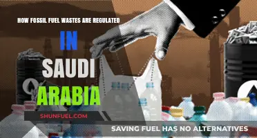 Saudi Arabia's Fossil Fuel Waste Regulation: Policies and Practices