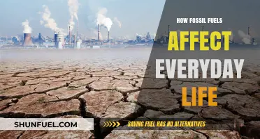 Fossil Fuels' Impact: Powering Daily Routines, Shaping Our Environment