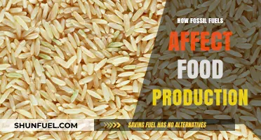 Fossil Fuels' Impact: How Energy Choices Threaten Global Food Security