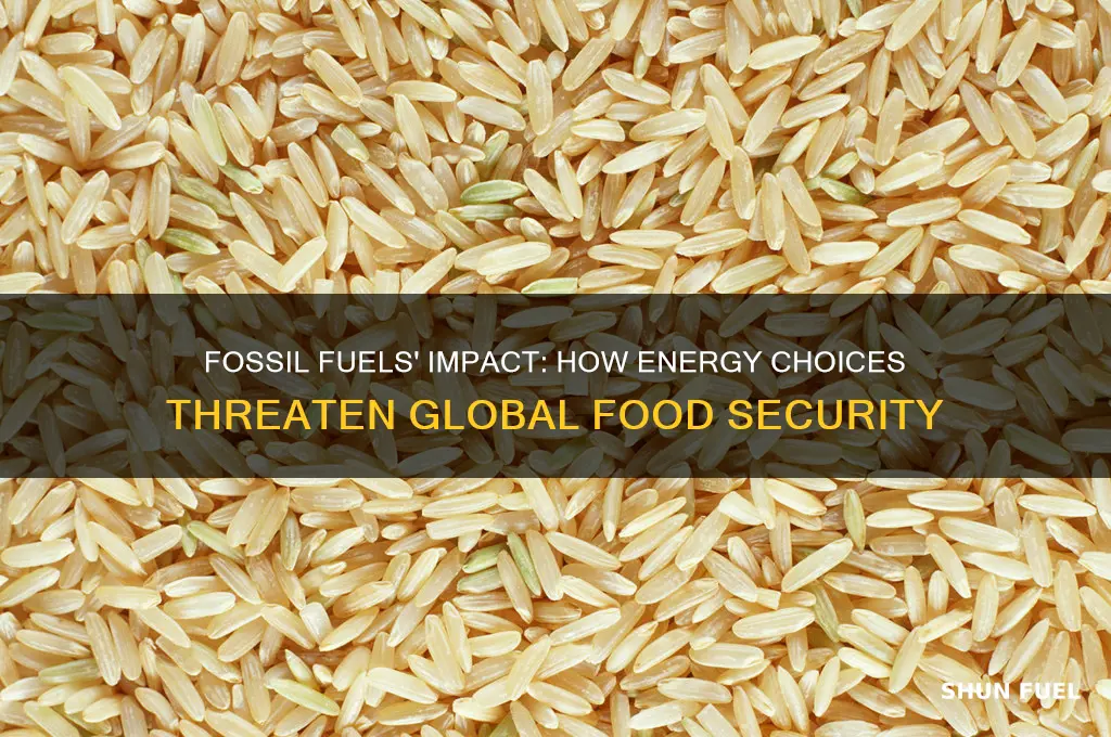 how fossil fuels affect food production