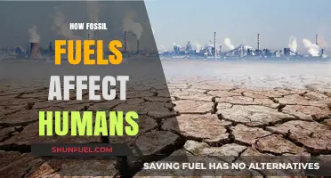 Fossil Fuels' Impact: Health, Climate, and Human Consequences Explained